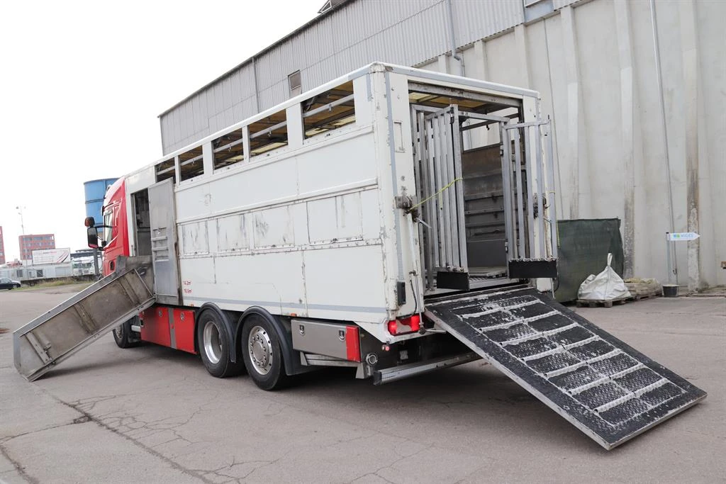 Scania R 490  | Mobile.bg   6