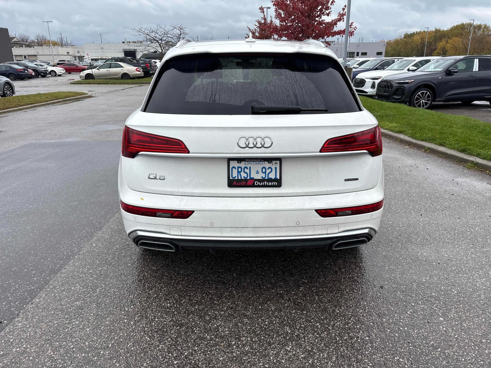 Audi Q5 PROGRESSIV * CARFAX *    | Mobile.bg   5