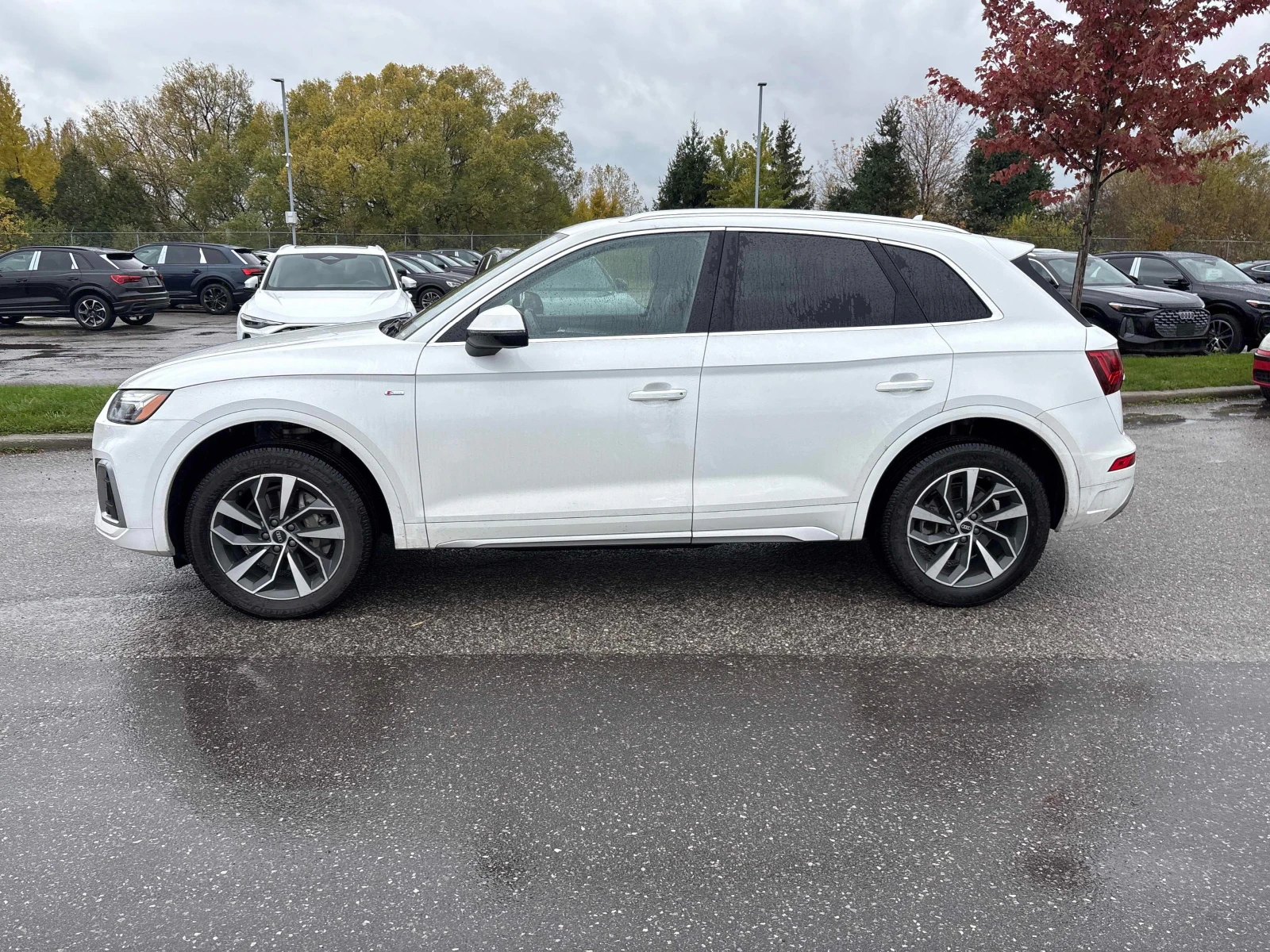 Audi Q5 PROGRESSIV * CARFAX *    | Mobile.bg   2