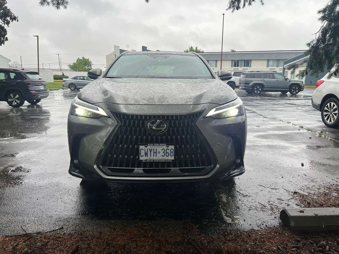 Lexus NX * 350 * CARFAX * ОПЦИЯ ЗА ФИНАНСИРАНЕ, снимка 6 - Автомобили и джипове - 55736199