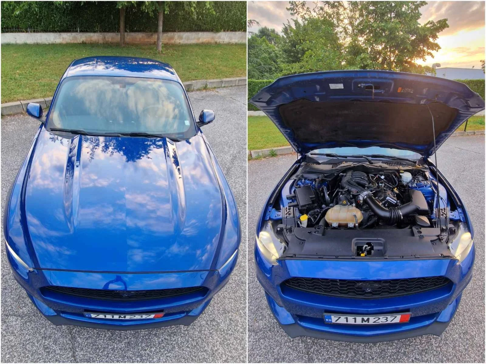 Ford Mustang  - изображение 6