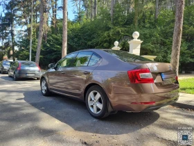 Skoda Octavia 4x4 - 14800 € - 63310490 10