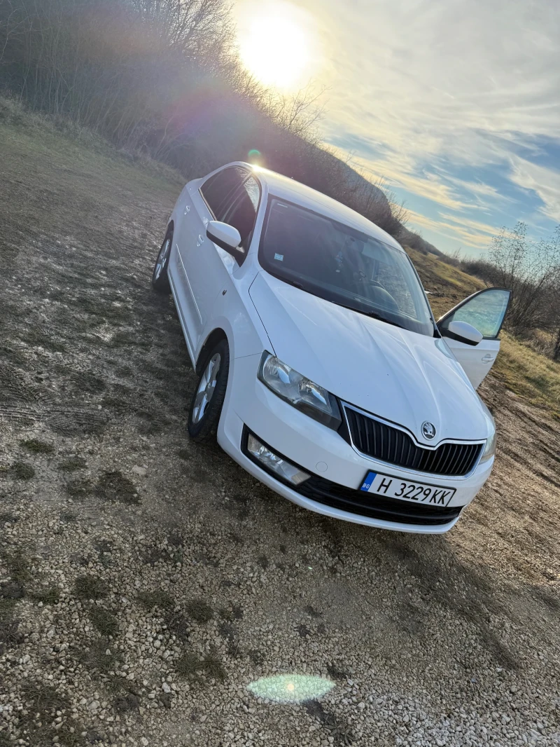 Skoda Rapid Шкода Рапид 1.6 дизел , снимка 17 - Автомобили и джипове - 48591436