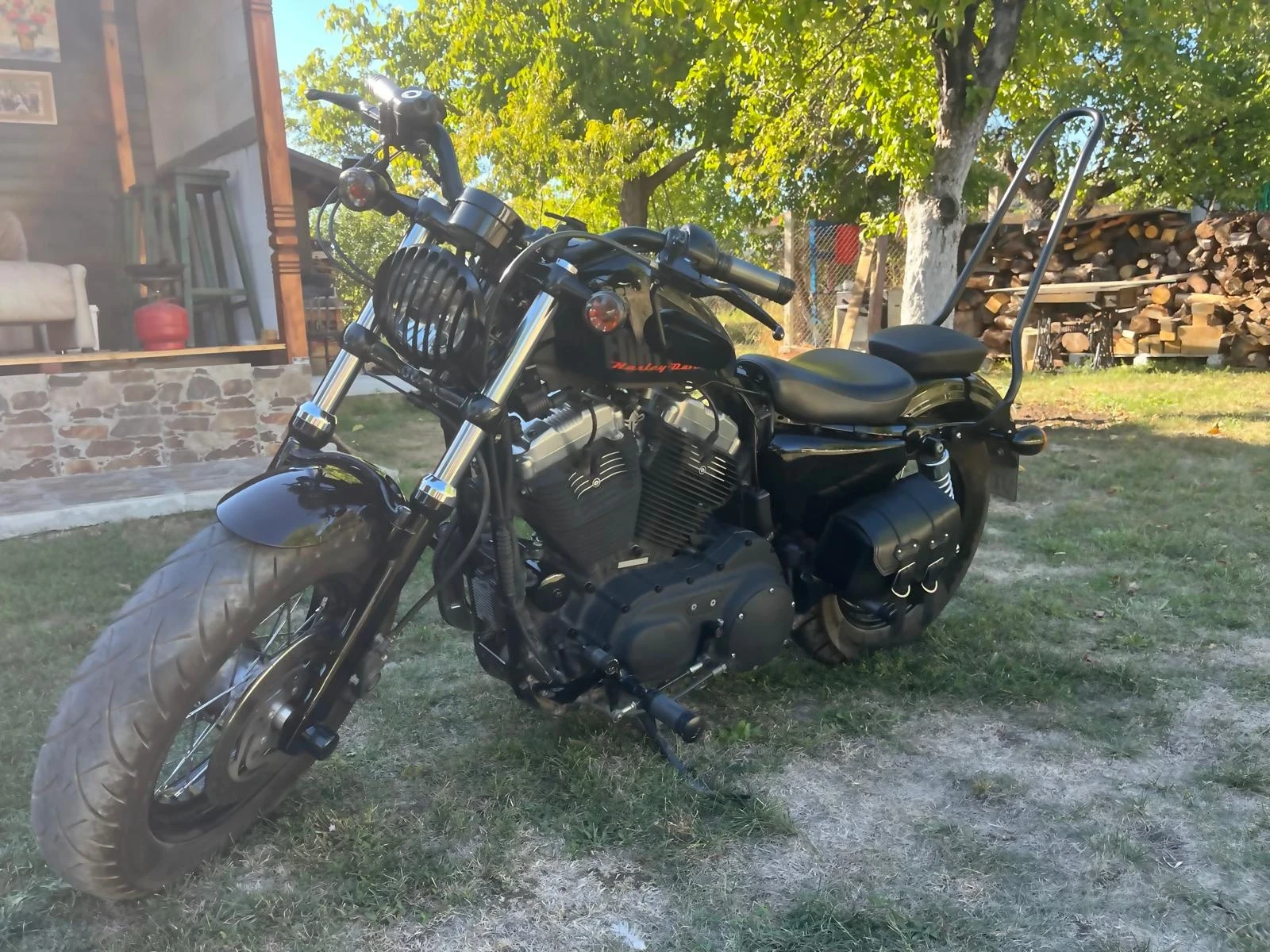 Harley-Davidson Sportster XL 1200X Forty Eight, снимка 1
