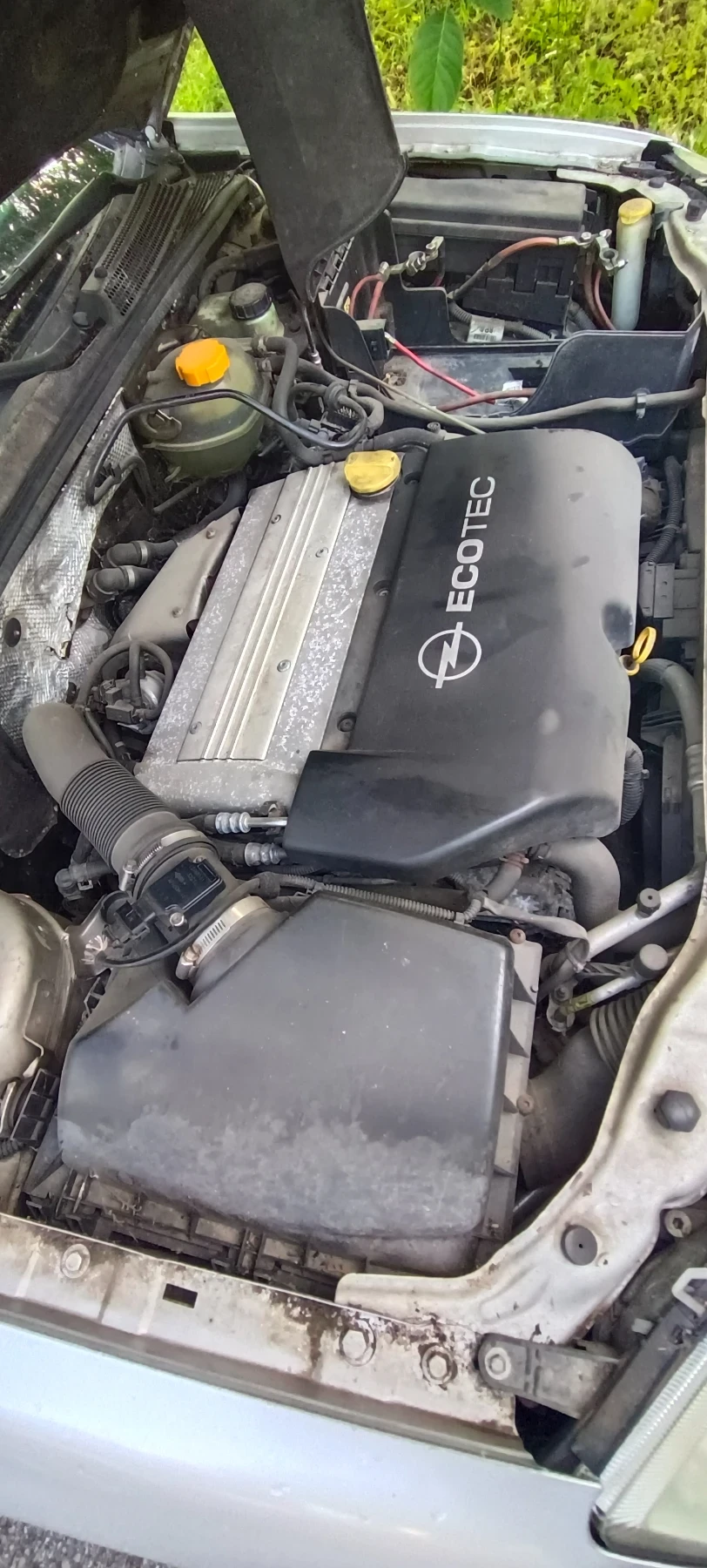 Opel Signum Z20NET | Mobile.bg � ����������� 9