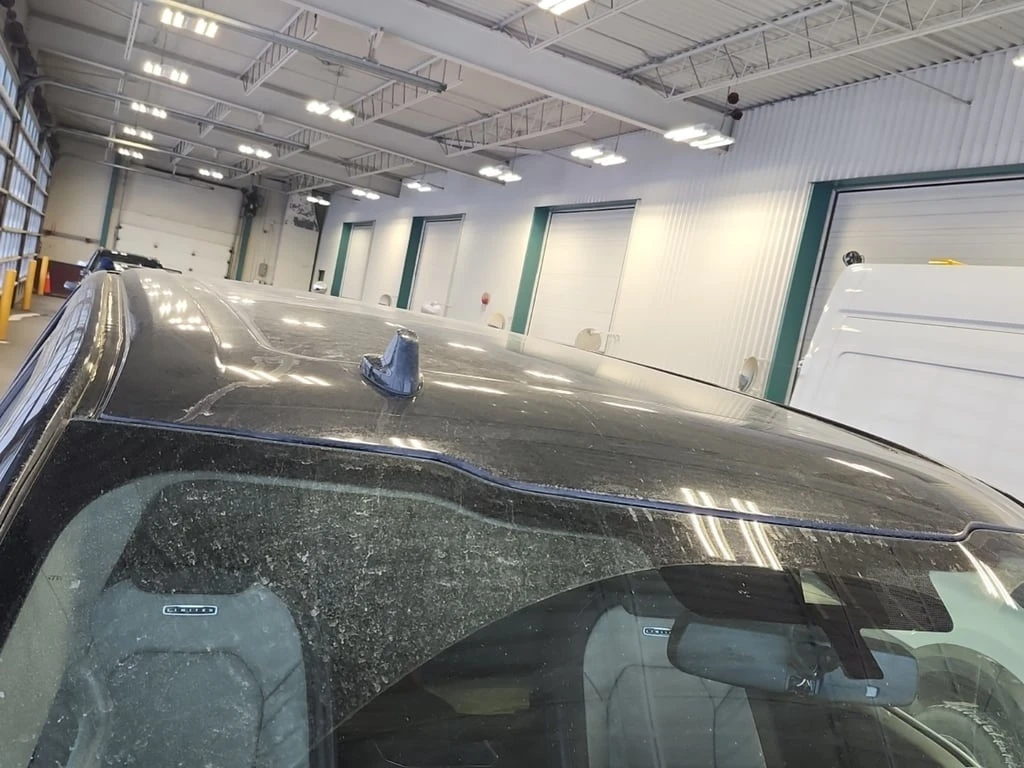 Ford F150 2019 LIMITED * БЕЗ ПЪРВОН - изображение 5