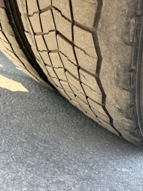 Man Tgx 18.500 | Mobile.bg    7