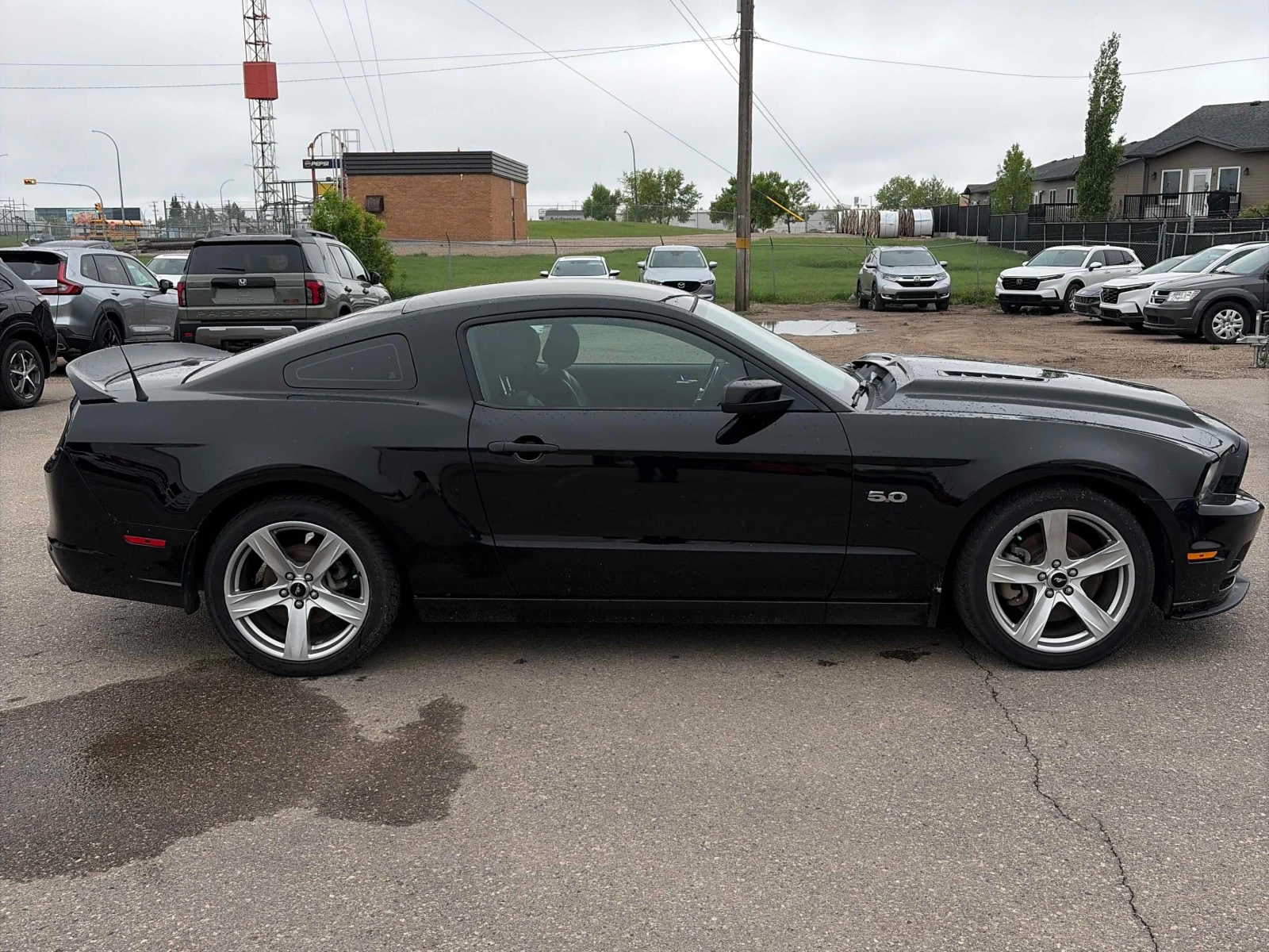 Ford Mustang GT * ����� * ������� * 105361KM *  | Mobile.bg � ����������� 3