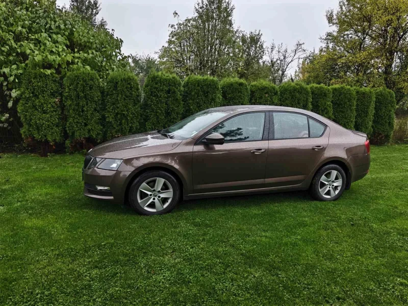 Skoda Octavia 4x4 2.0 TDI, снимка 3 - Автомобили и джипове - 52097007
