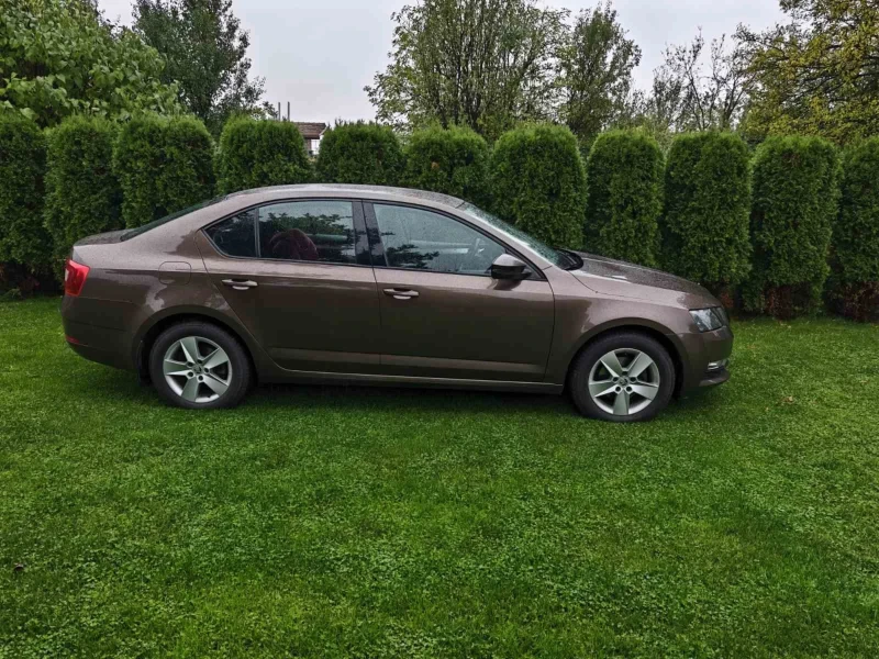 Skoda Octavia 4x4 2.0 TDI, снимка 7 - Автомобили и джипове - 52097007