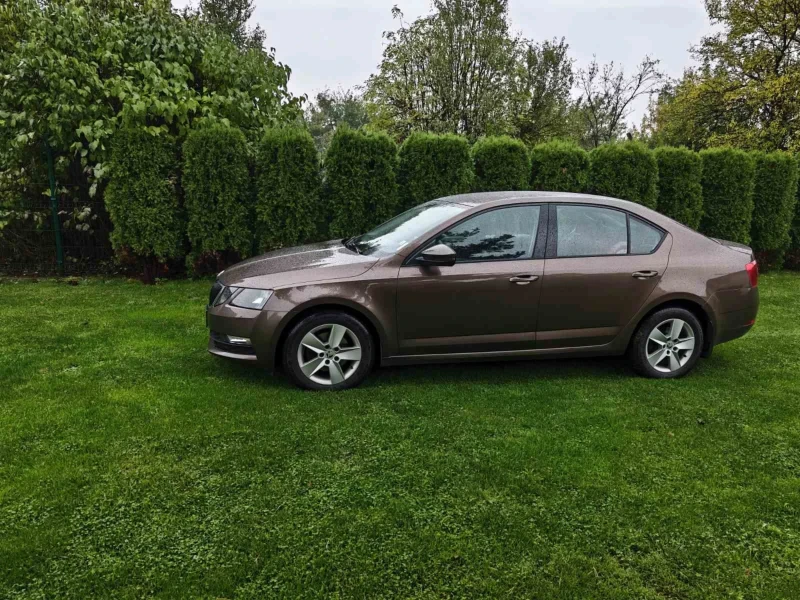 Skoda Octavia 4x4 2.0 TDI, снимка 4 - Автомобили и джипове - 52097007