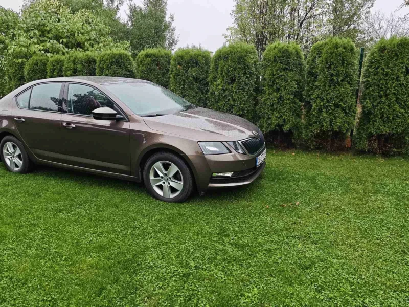 Skoda Octavia 4x4 2.0 TDI, снимка 9 - Автомобили и джипове - 52097007