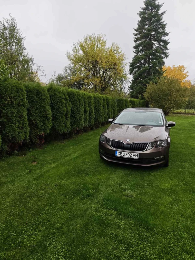 Skoda Octavia 4x4 2.0 TDI, снимка 5 - Автомобили и джипове - 52097007