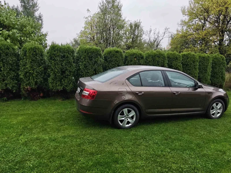 Skoda Octavia 4x4 2.0 TDI, снимка 10 - Автомобили и джипове - 52097007