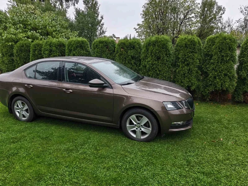Skoda Octavia 4x4 2.0 TDI, снимка 8 - Автомобили и джипове - 52097007