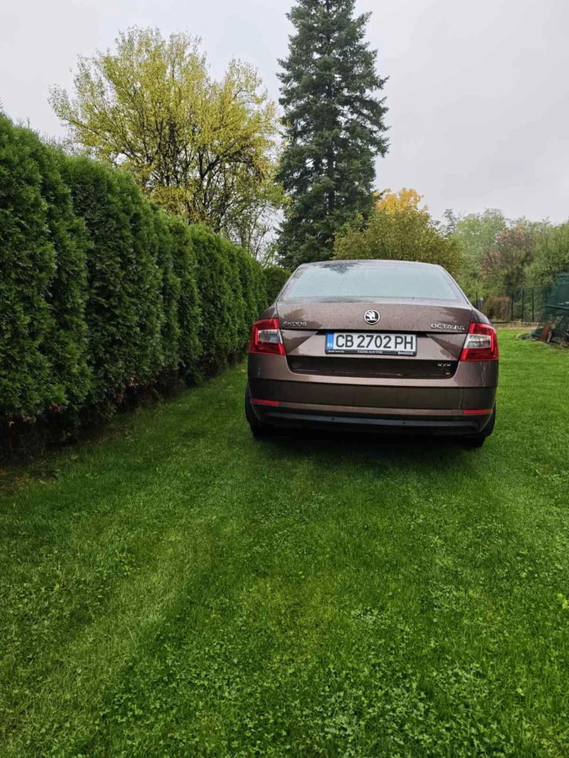 Skoda Octavia 4x4 2.0 TDI, снимка 6 - Автомобили и джипове - 52097007