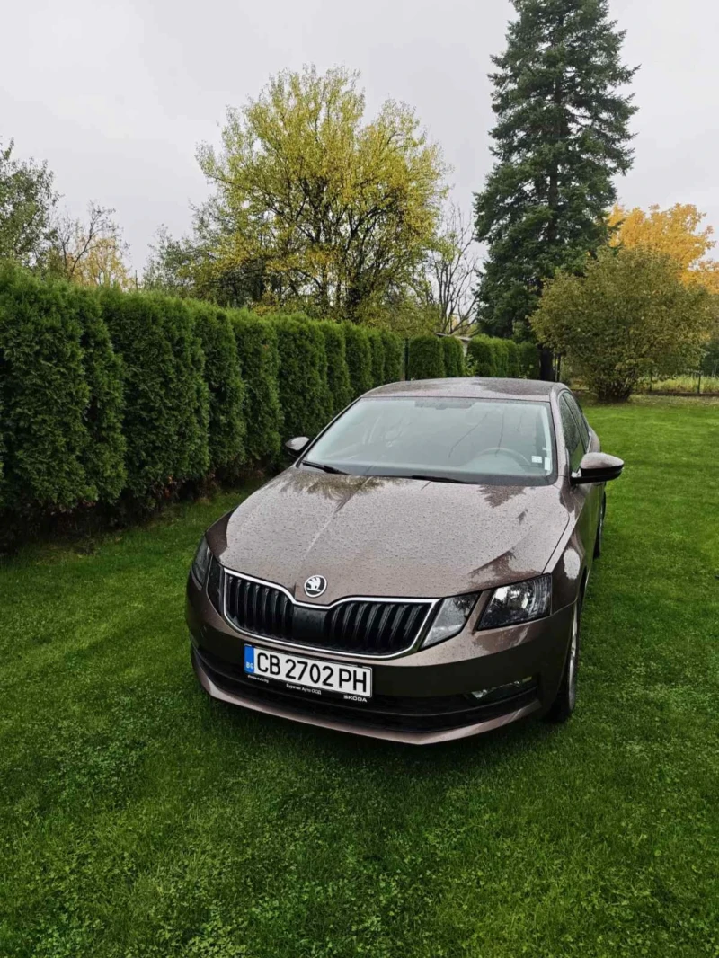 Skoda Octavia 4x4 2.0 TDI, снимка 2 - Автомобили и джипове - 52097007