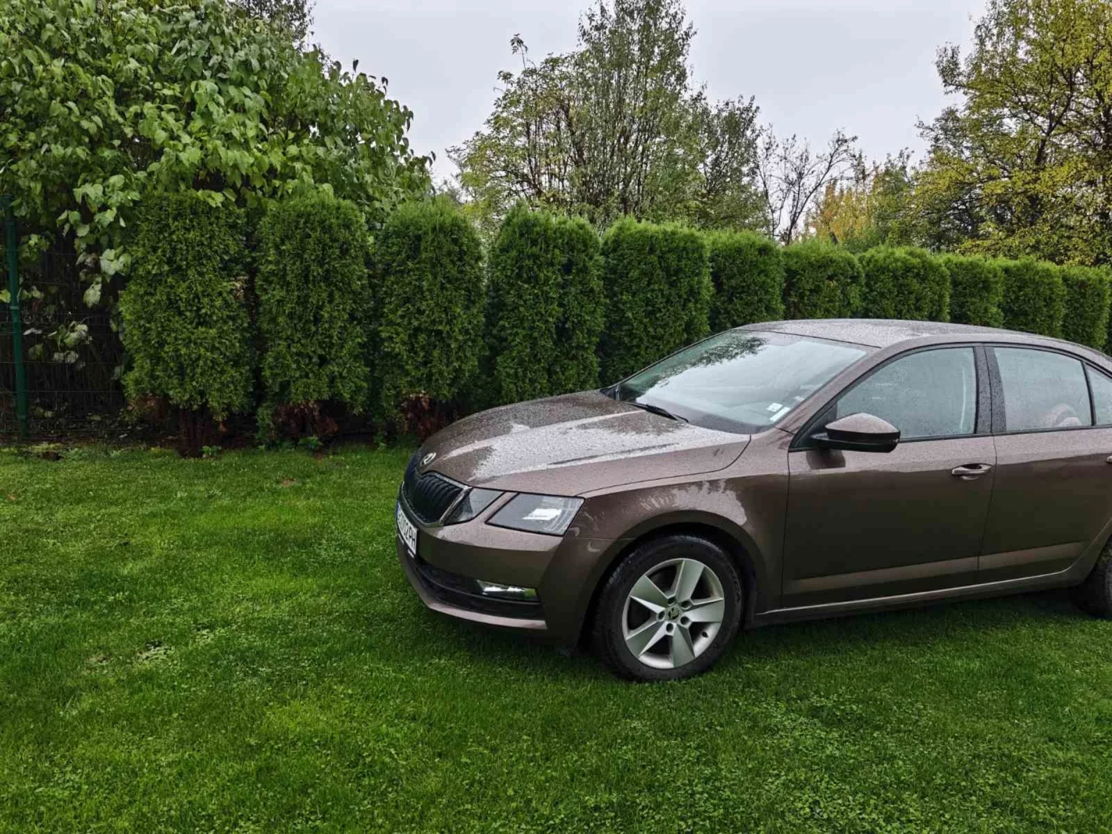 Skoda Octavia 4x4 2.0 TDI, снимка 1