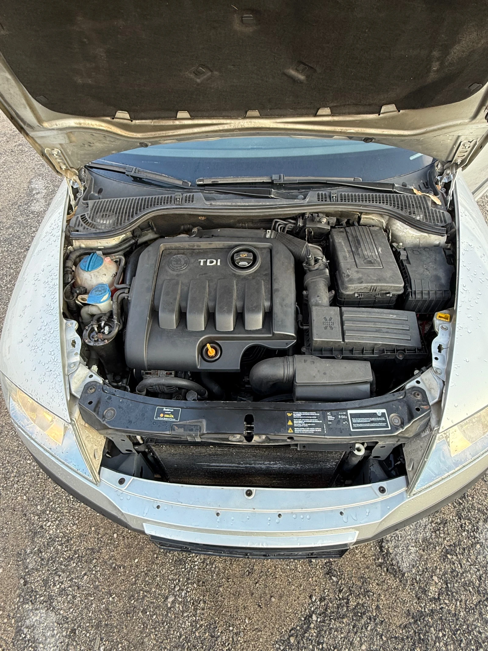 Skoda Octavia 1.9 TDI 105 4x4 | Mobile.bg   11