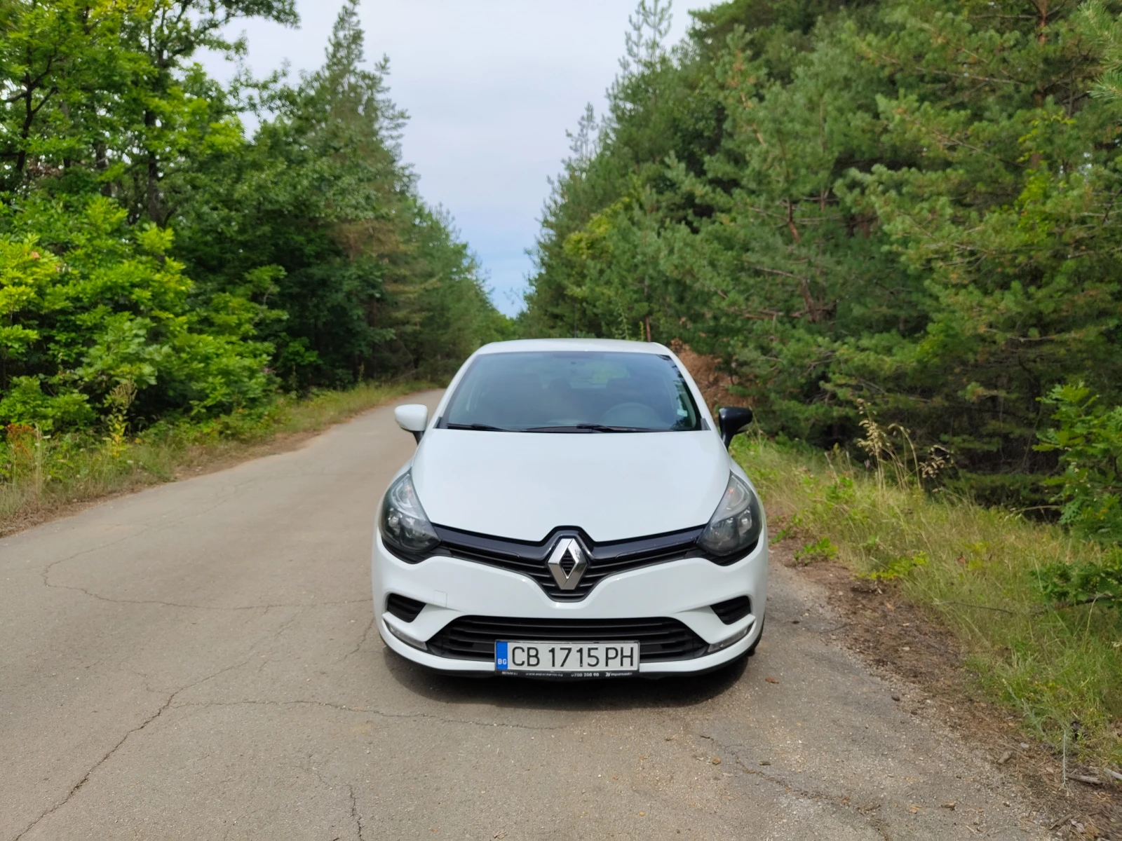 Renault Clio N1, снимка 8 - Автомобили и джипове - 55430541