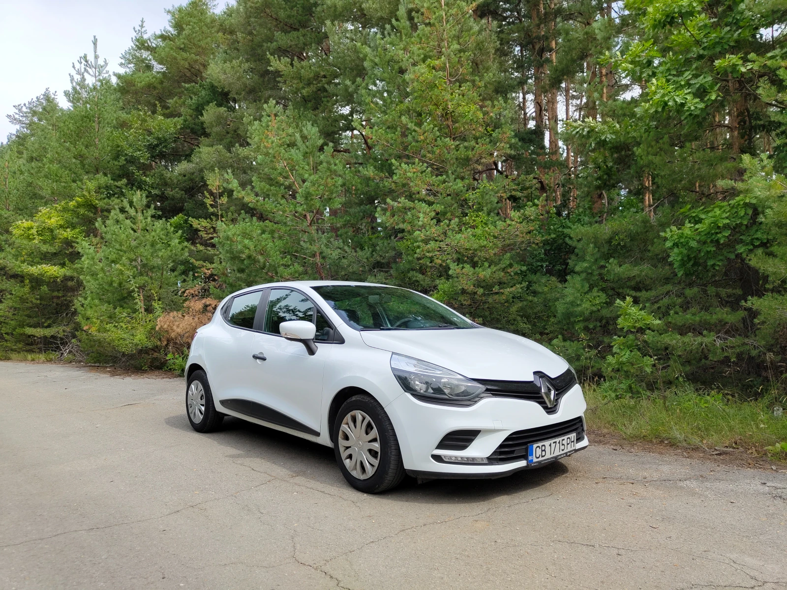 Renault Clio N1, снимка 9 - Автомобили и джипове - 55430541