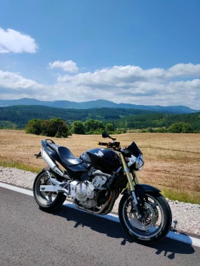 Honda Hornet, снимка 1