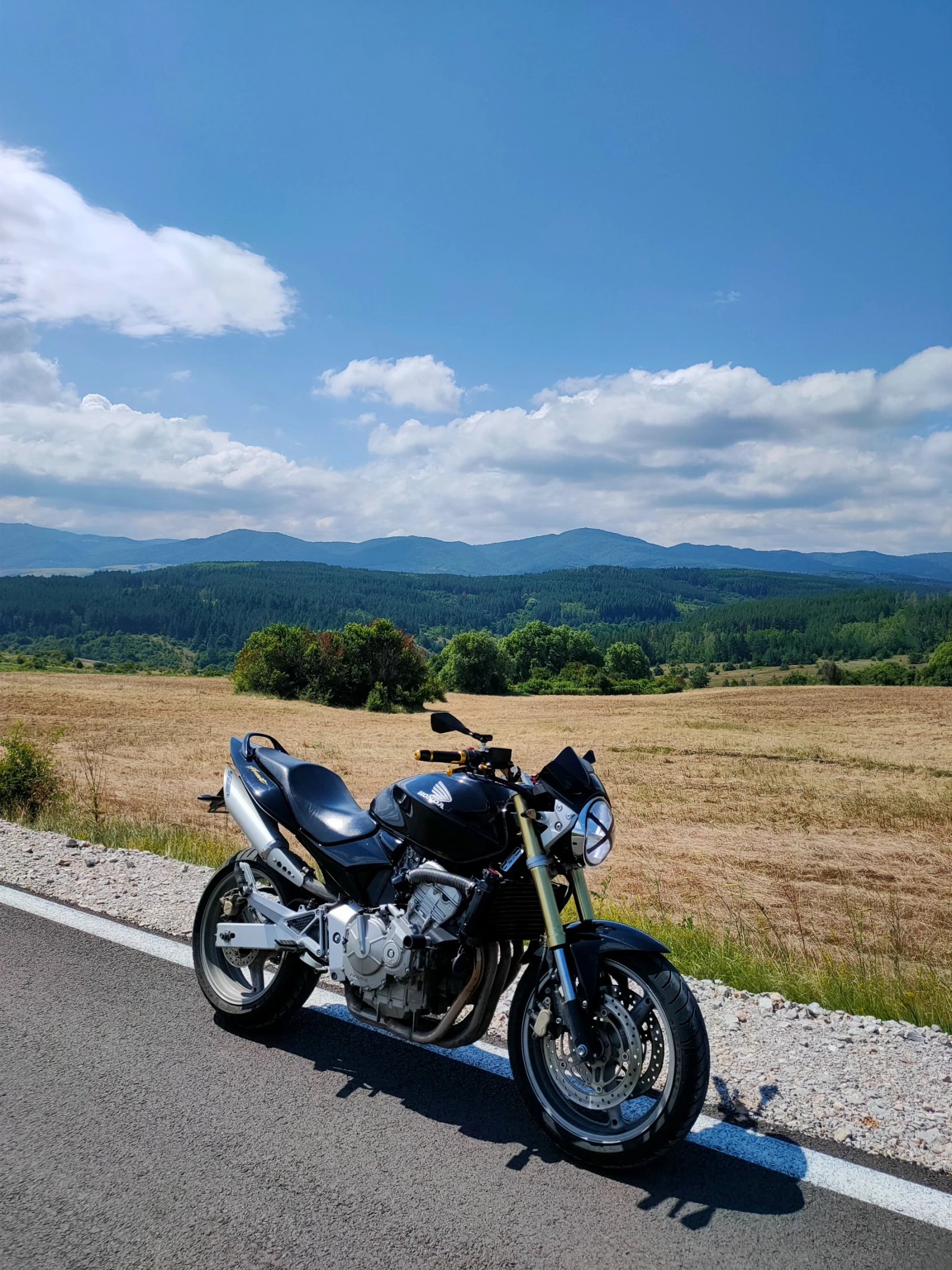 Honda Hornet, снимка 2 - Мотоциклети и мототехника - 53900811