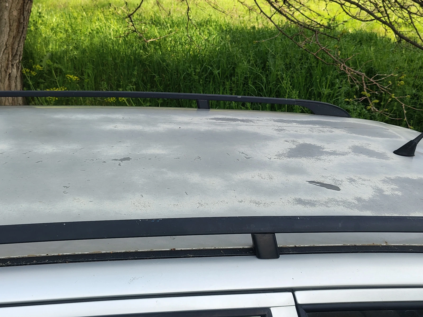 Skoda Octavia, снимка 9 - Автомобили и джипове - 54323837