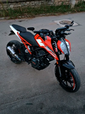     Ktm Duke