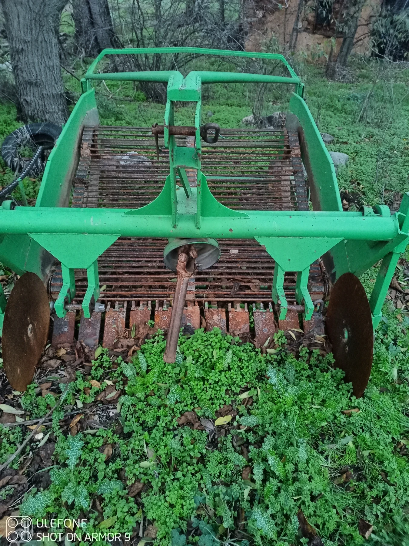 Друг вид Внос, снимка 1