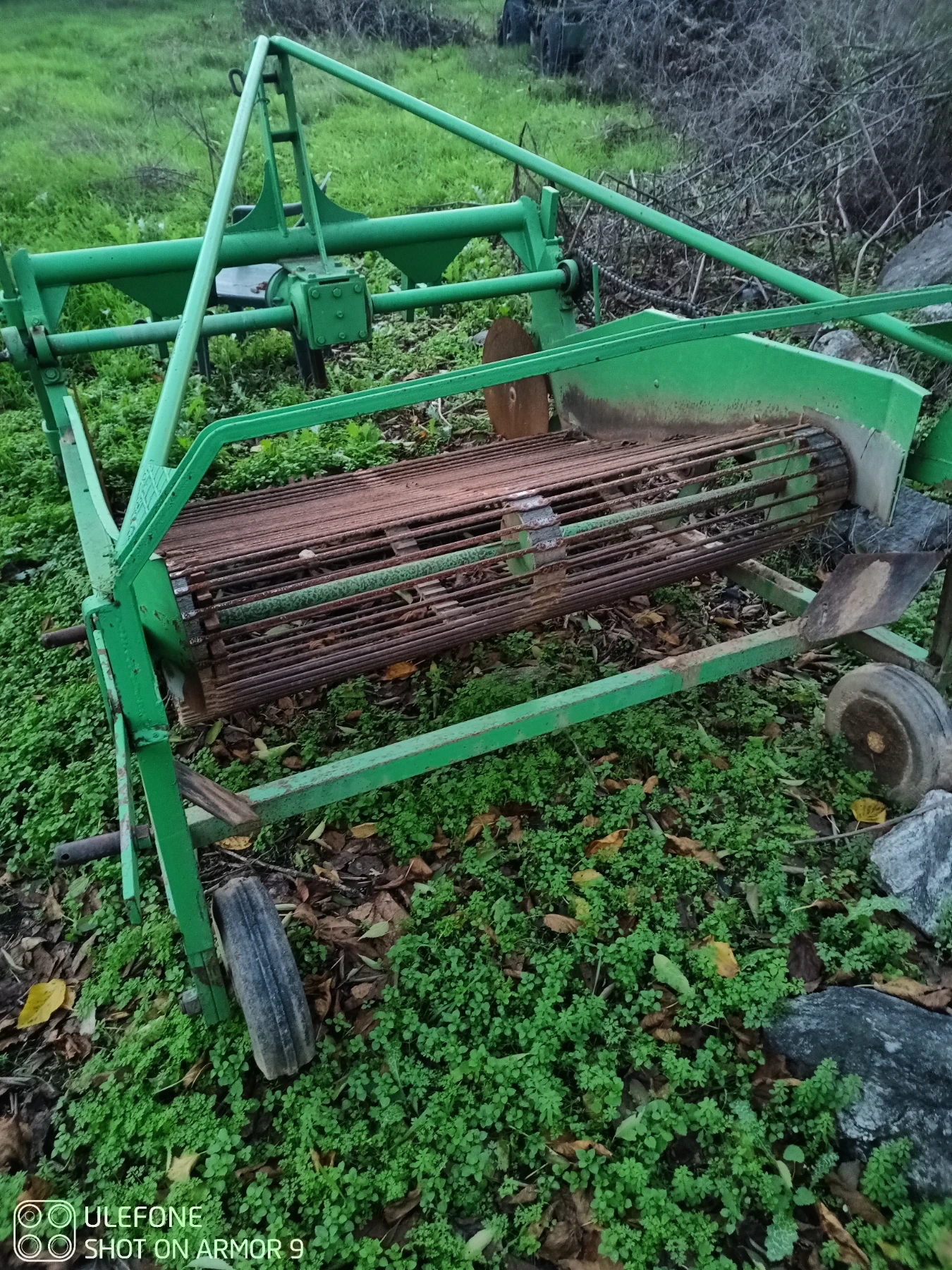 Друг вид Внос  - изображение 3