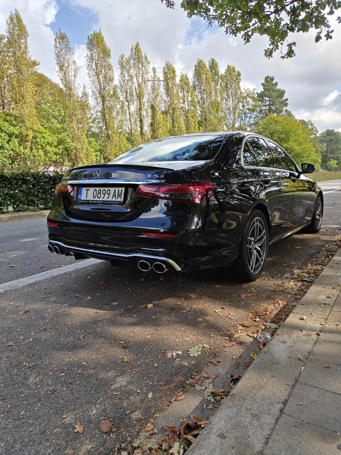 Mercedes-Benz E 53 AMG + ел. мотор - изображение 8