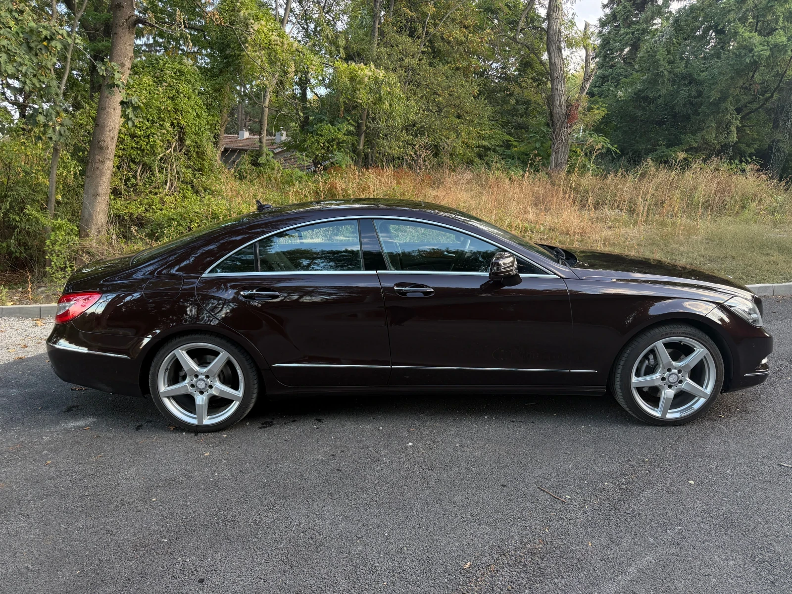 Mercedes-Benz CLS 350 CDI, снимка 4 - Автомобили и джипове - 56259977