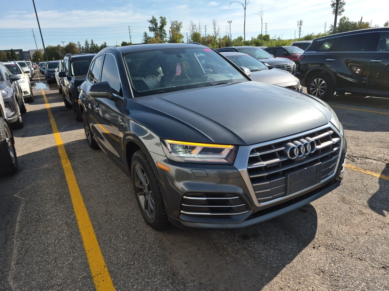 Audi Q5 PROGRESSIV/CARFAX/ФИНАНСИРАНЕ, снимка 2 - Автомобили и джипове - 55983071