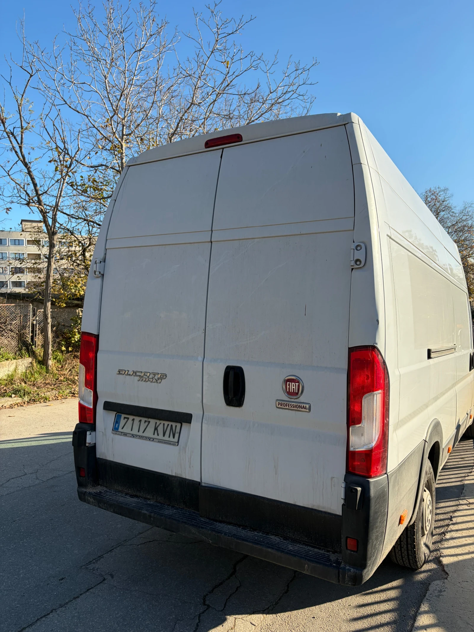 Fiat Ducato Maxi Professional  | Mobile.bg   7
