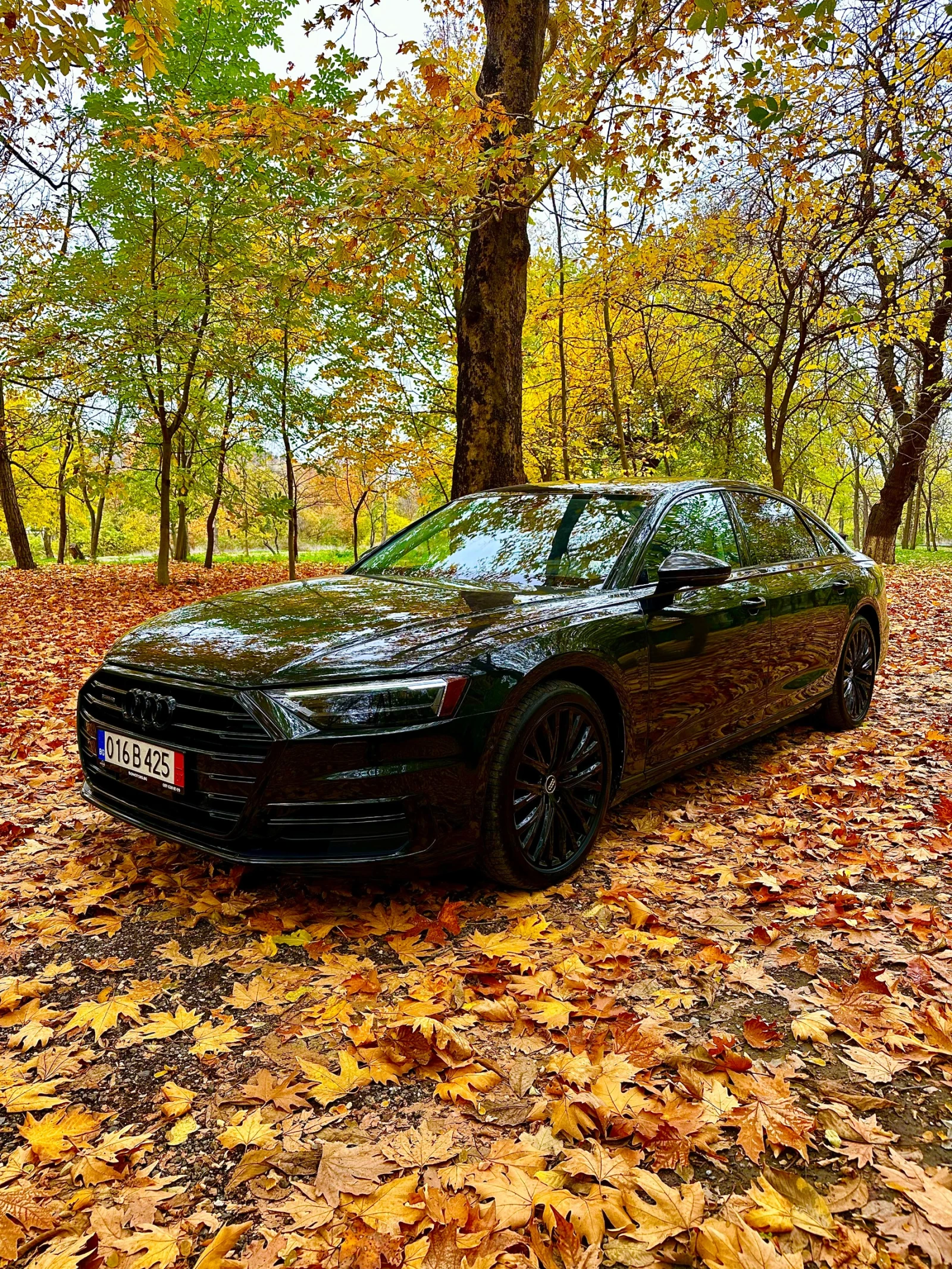 Audi A8 LONG, снимка 1