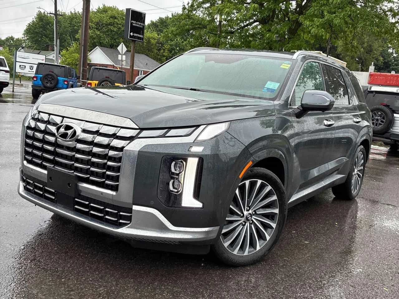 Hyundai Palisade | Ultimate Calligraphy | DISTRONIC | 360 | 