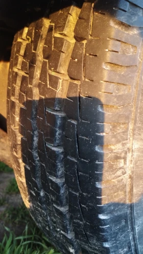 �������� TEC | Mobile.bg � ����� ������ 16