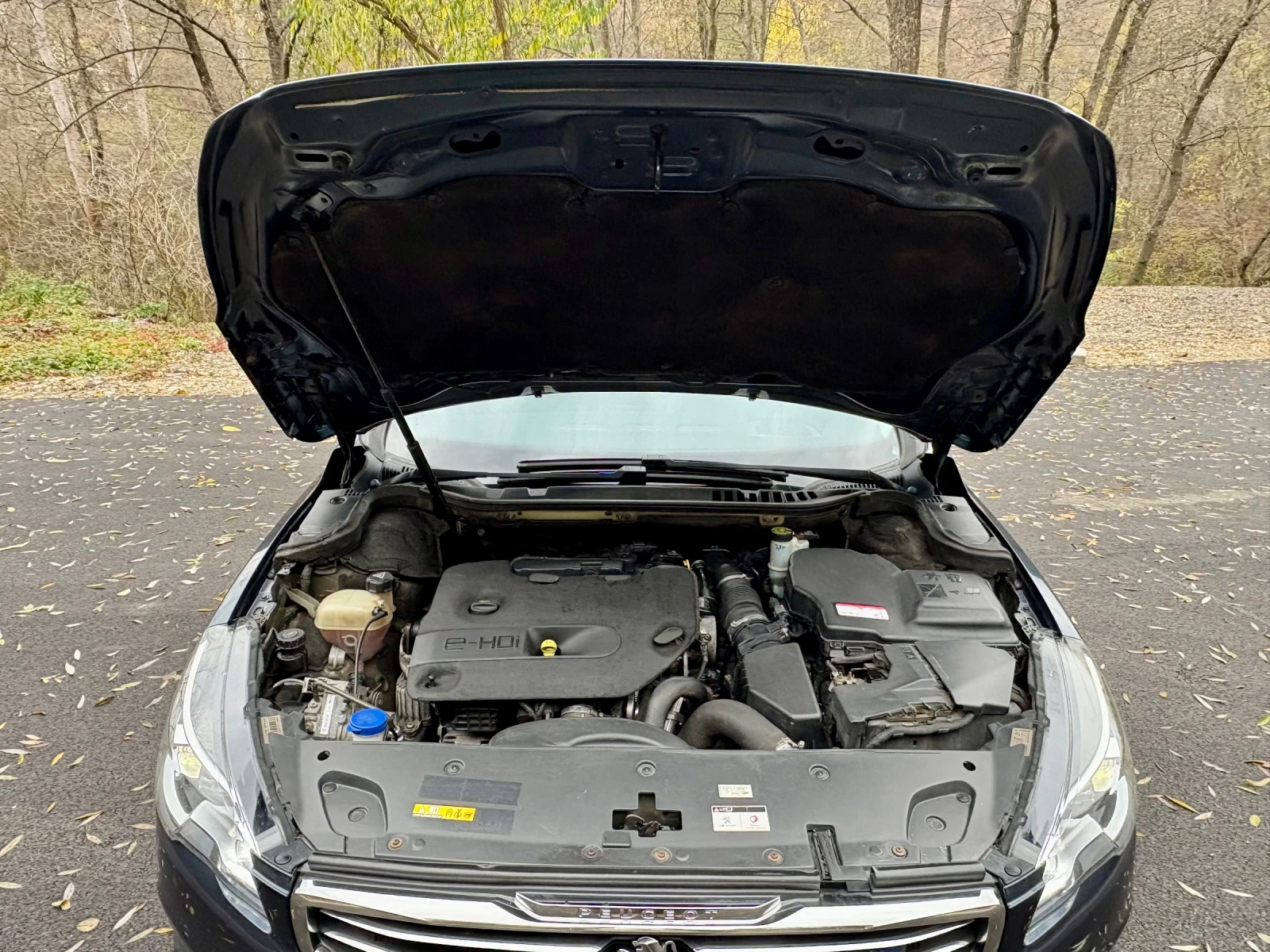 Peugeot 508 2.0 BlueHDI | FULL LED |  |  |  | Mobile.bg   17