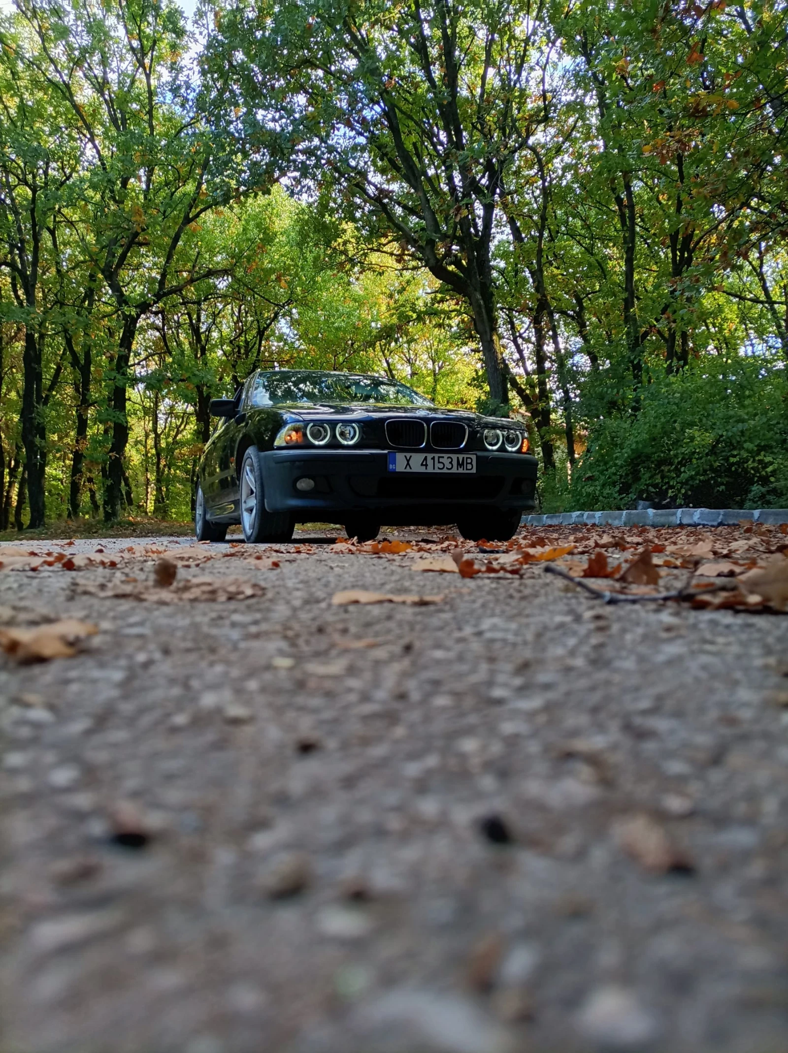BMW 520 E39, снимка 9 - Автомобили и джипове - 55136184