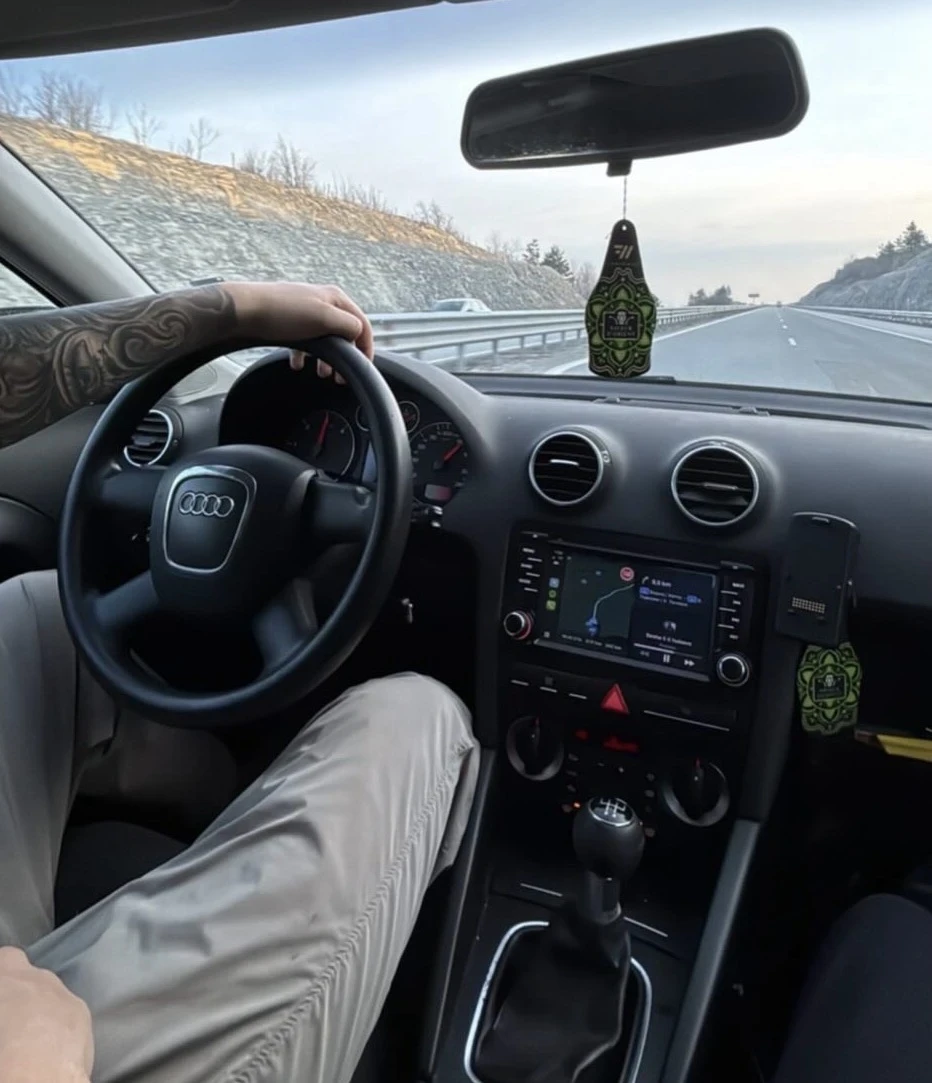 Audi A3, снимка 10 - Автомобили и джипове - 54823076