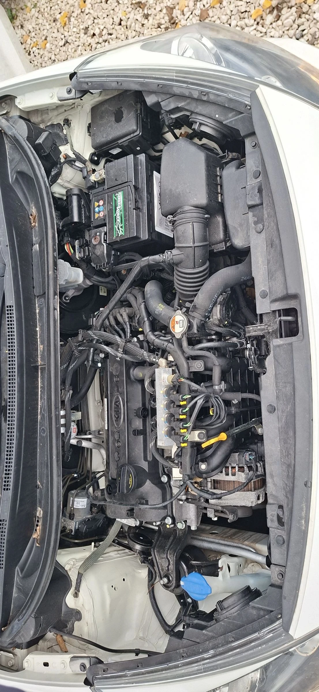 Kia Rio 1, 3 / | Mobile.bg   12