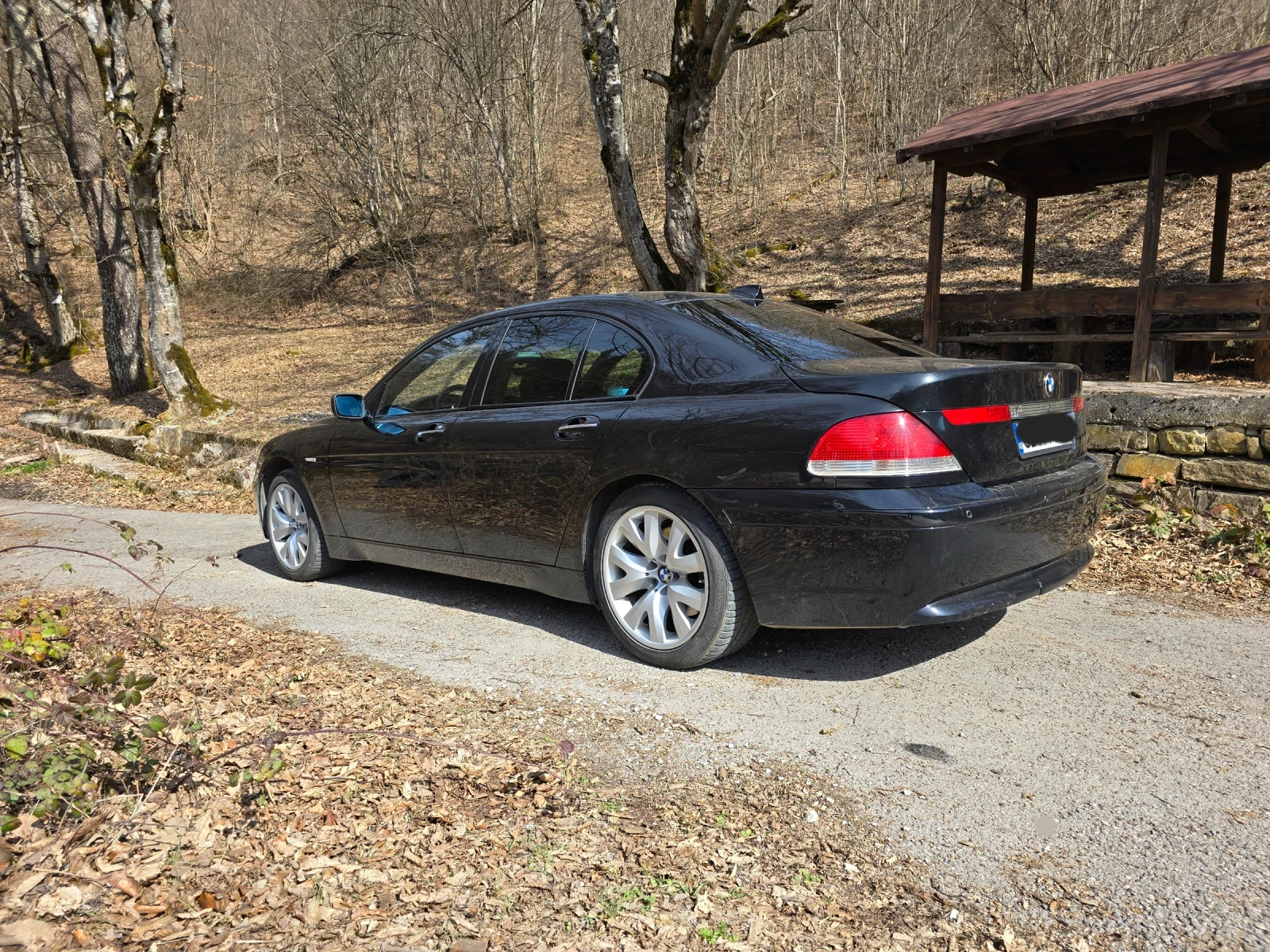 BMW 745  - изображение 2