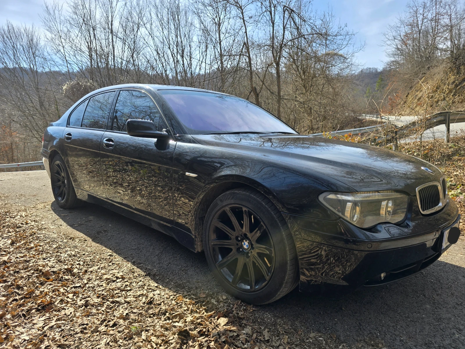 BMW 745  - изображение 3