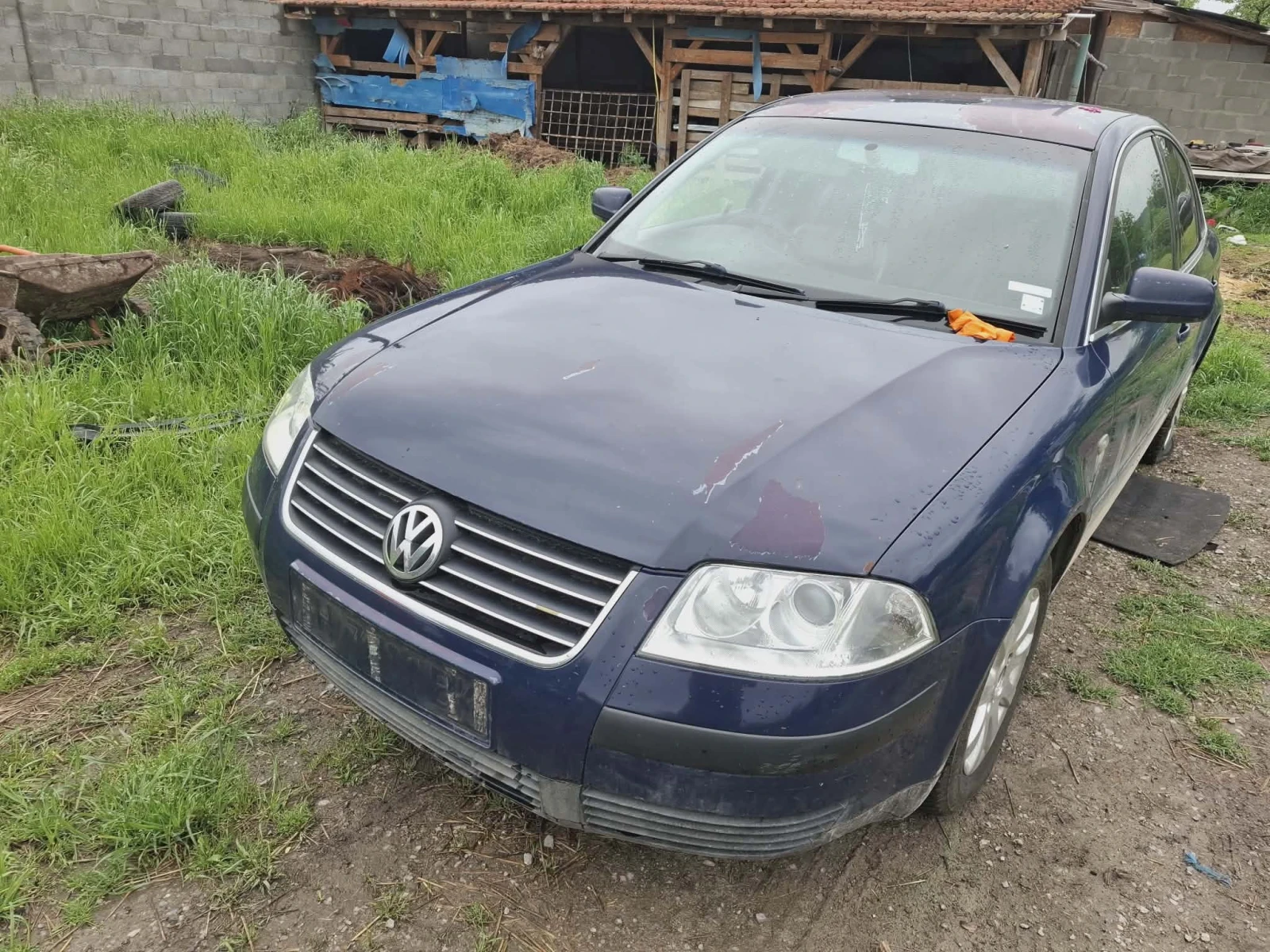 VW Passat