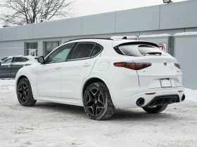 Alfa Romeo Stelvio * АвтоКредит * (ЦЕНА ДО БГ), снимка 5