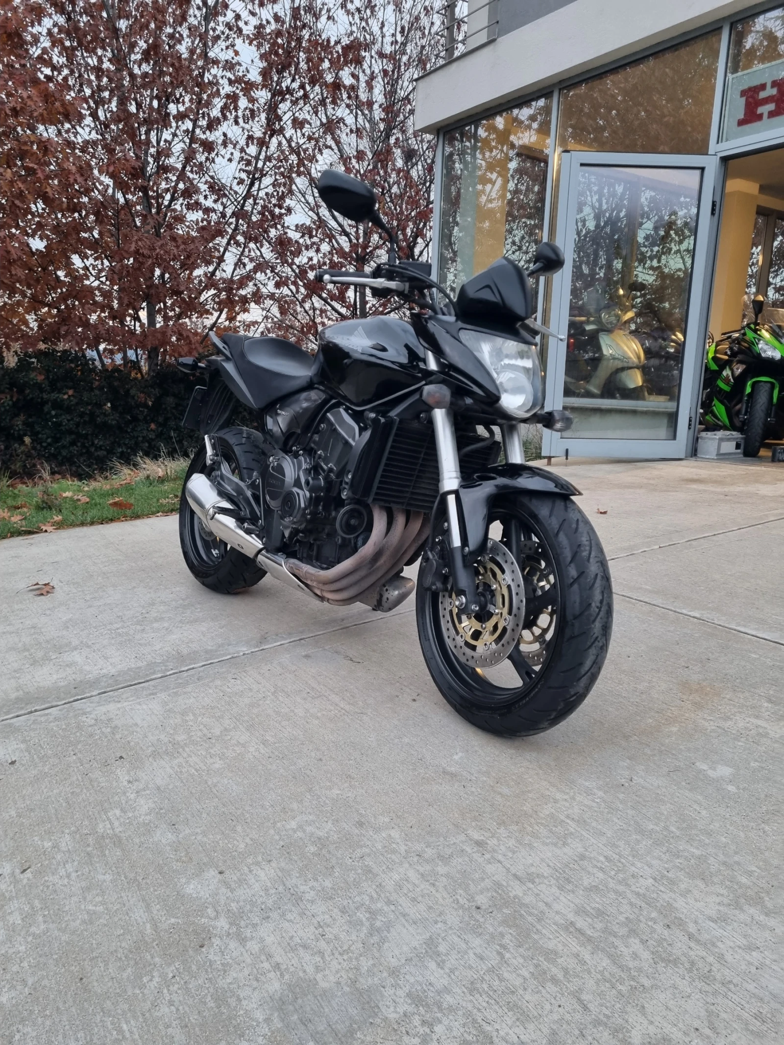 Honda Hornet 2010 - изображение 2