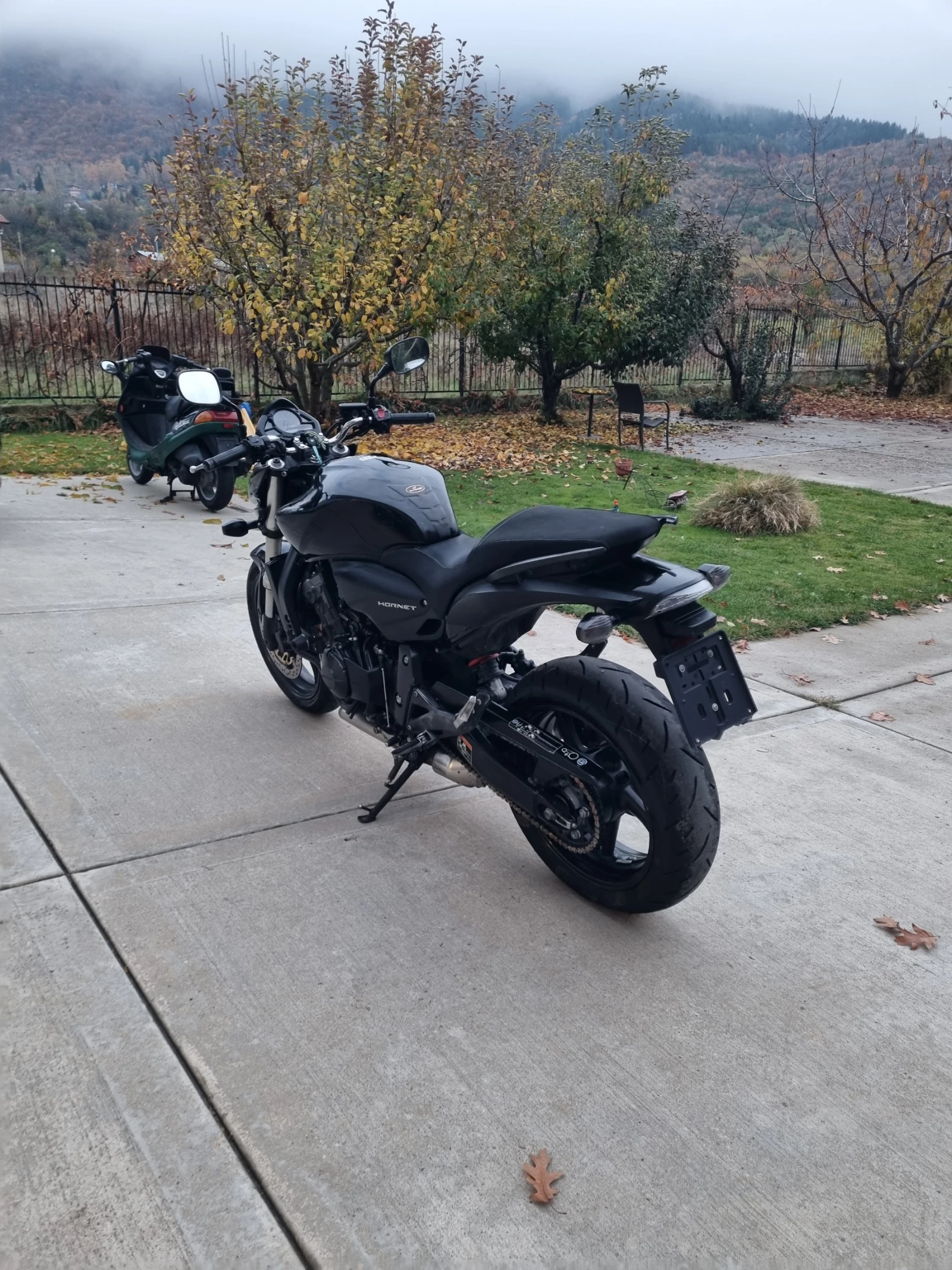 Honda Hornet 2010 - изображение 6