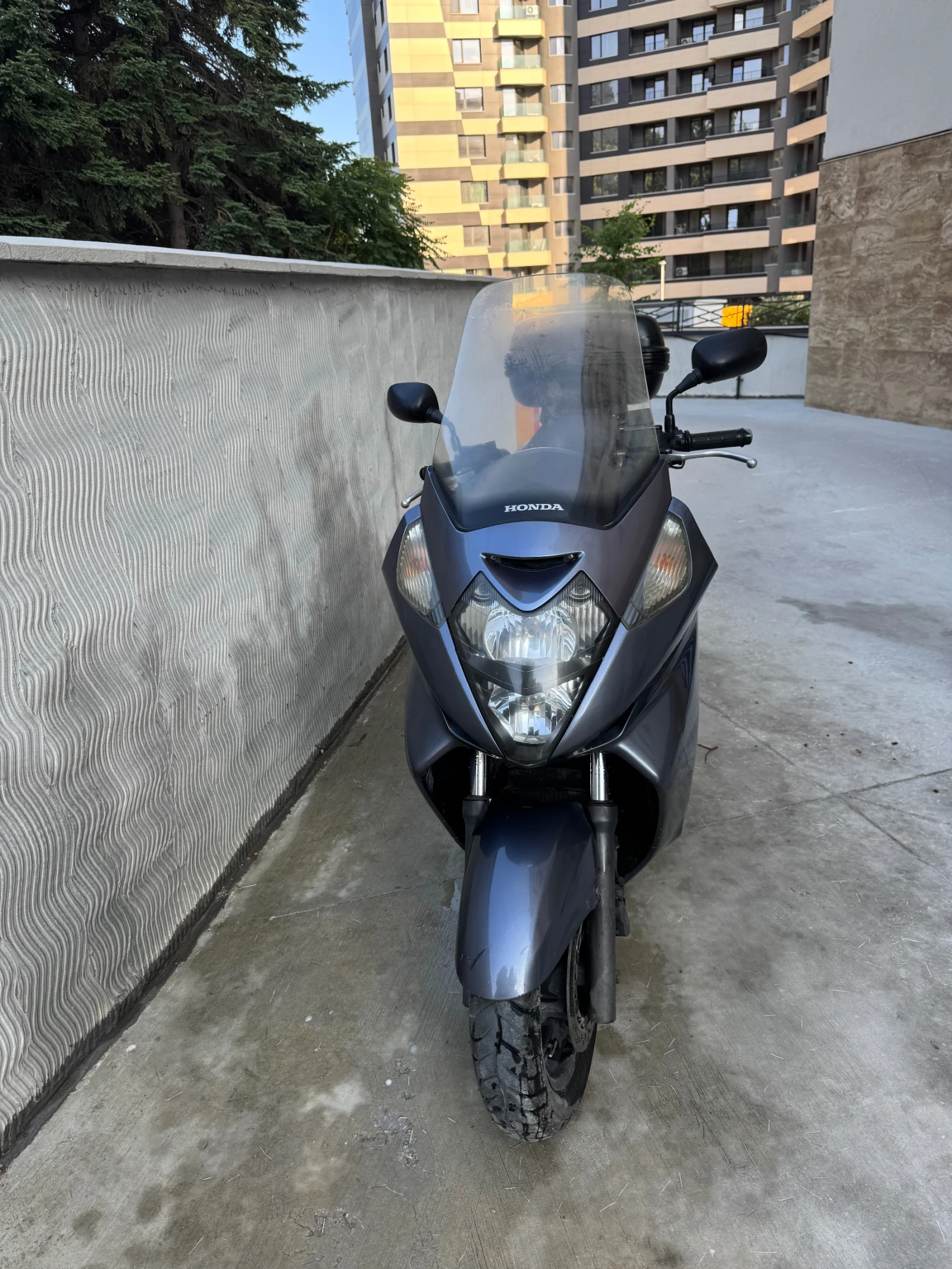 Honda Silver Wing  - изображение 2