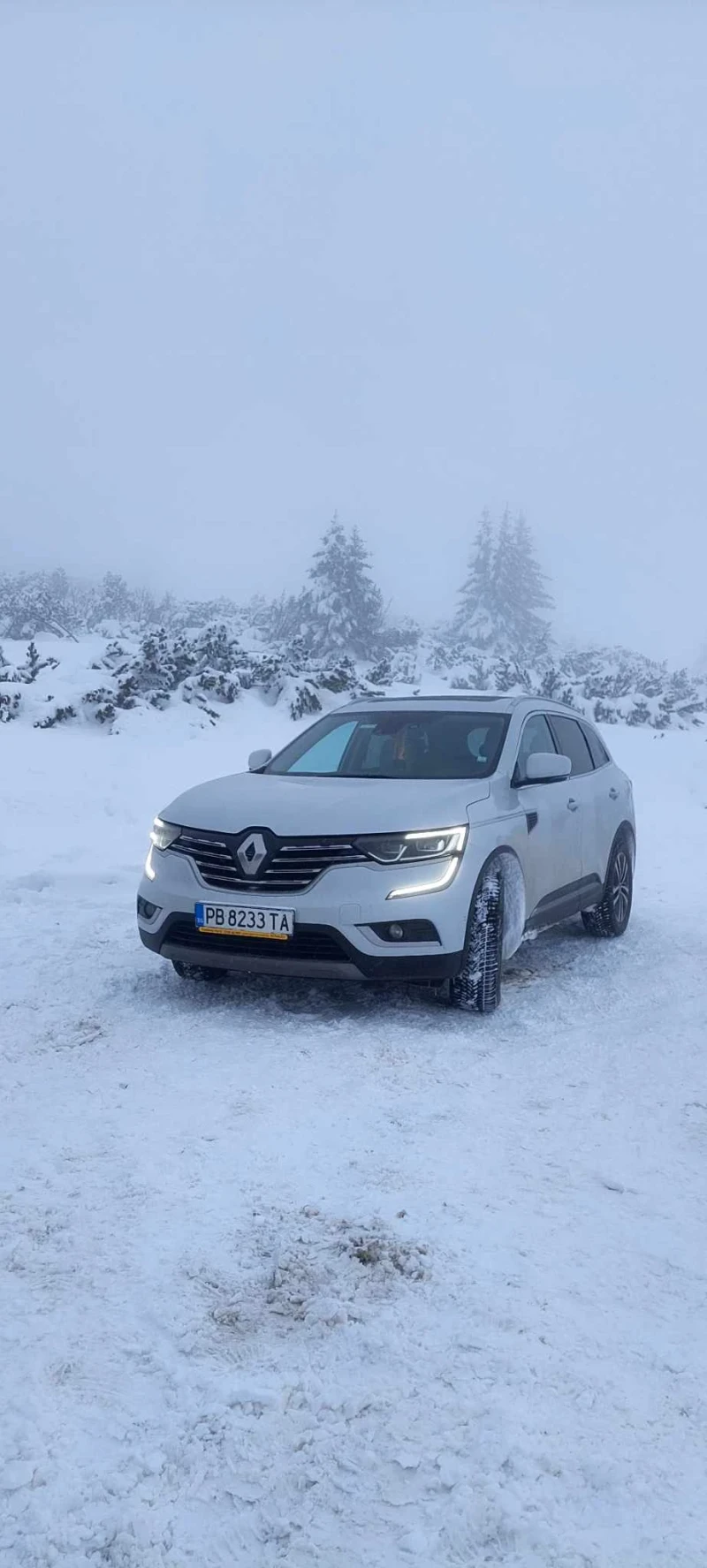 Renault Koleos, снимка 6 - Автомобили и джипове - 47334890